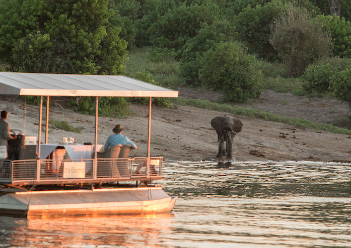 Company is Sending a Local Hero