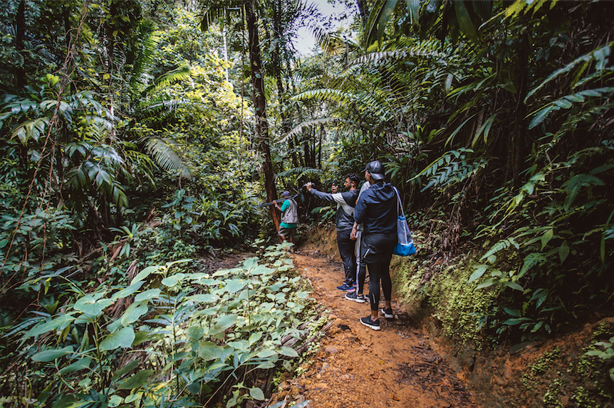 Legacy of Conservation