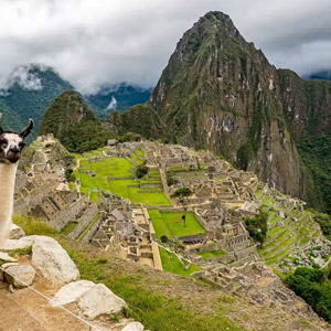 Machu Picchu