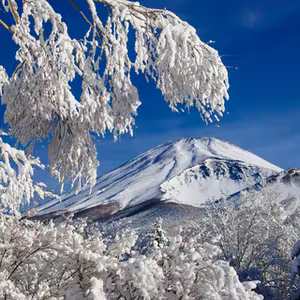 Fuji