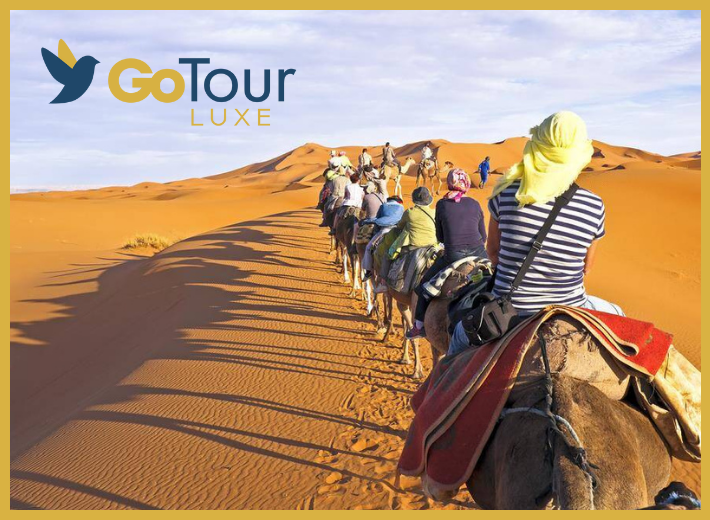 Advantages of Guided Tours
